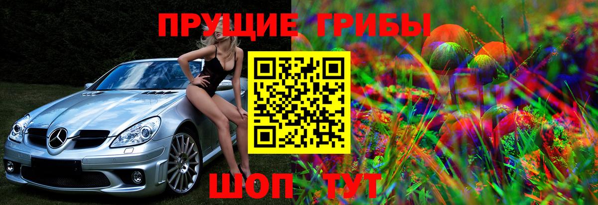 Псилоцибиновые грибы Psilocybe  Галлюциногенные грибы GOLDEN TEACHER  Саров  Вход с VPN 